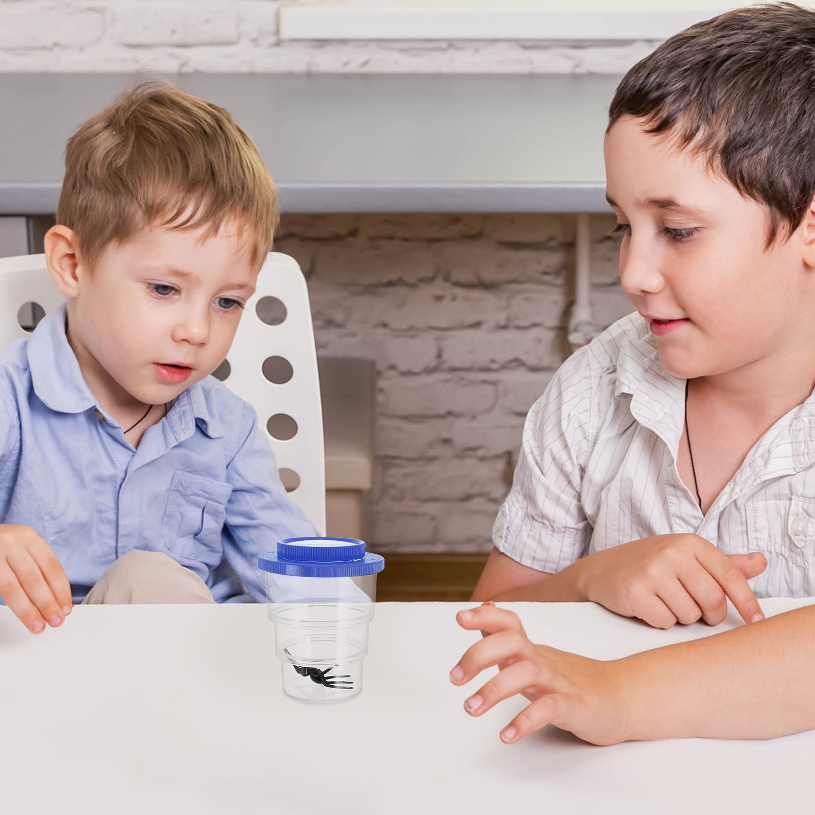 Science Kit - Scatola per l'Osservazione degli Insetti a