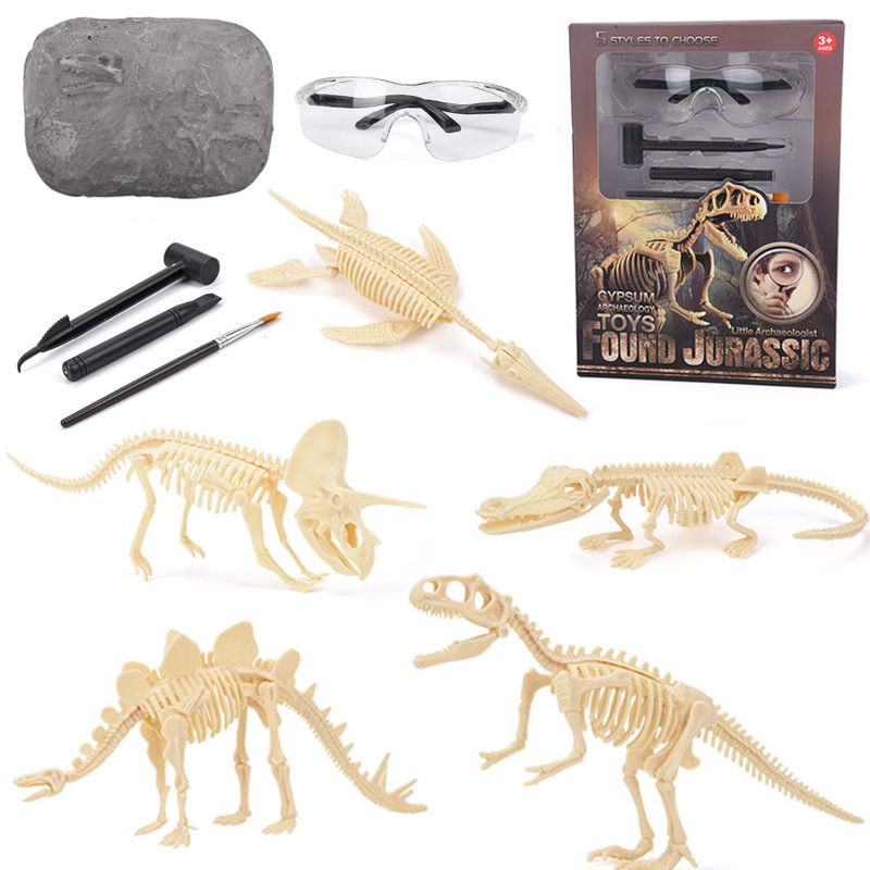 Science Kit - Kit di Scavo di Fossili di