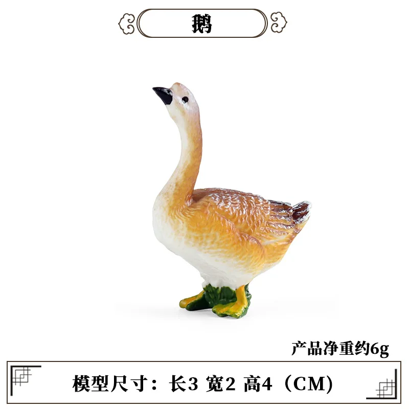 Science Toy - Strumento didattico educativo Pollame Animale Mini