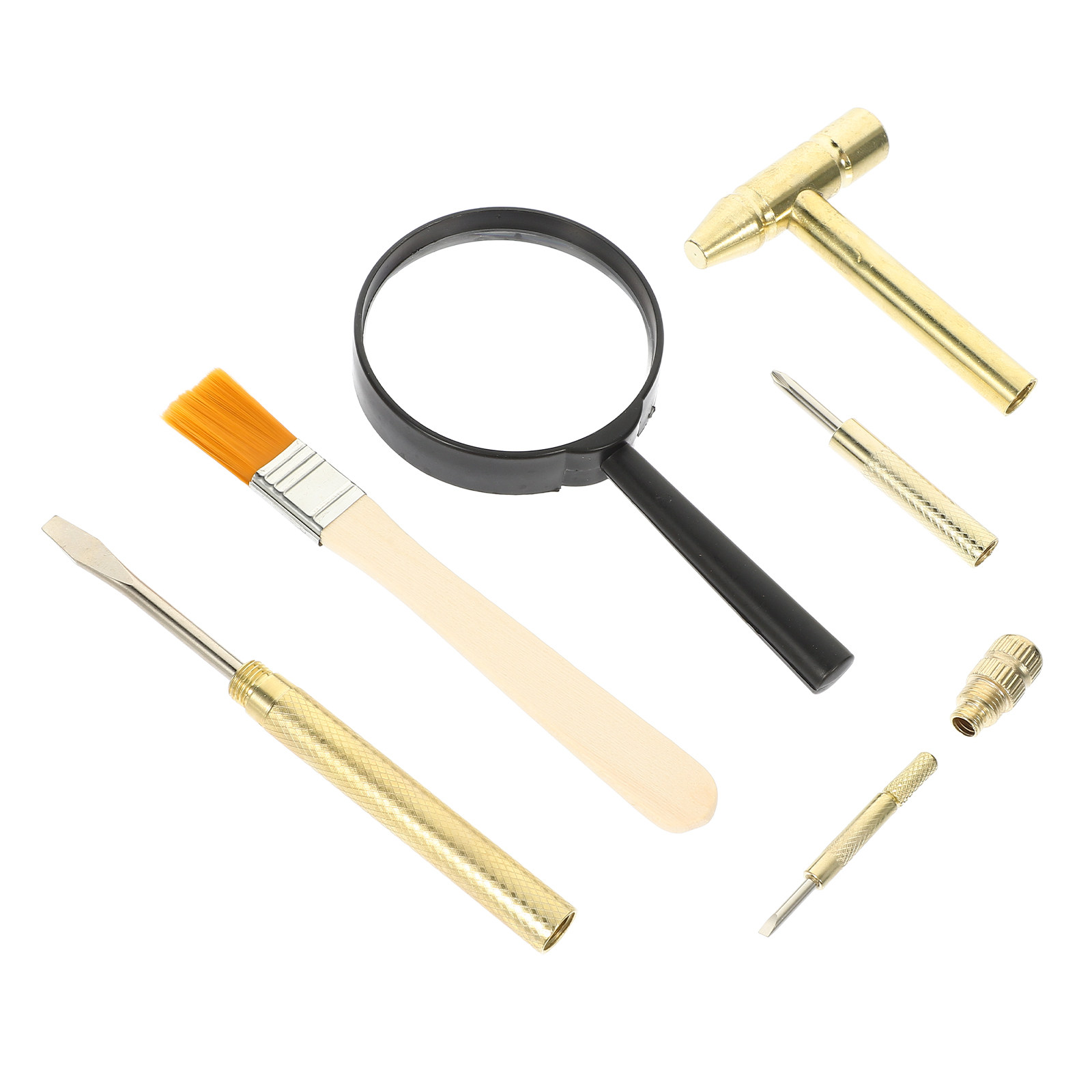 Science Kit - 1 Set di Attrezzi per Scavo