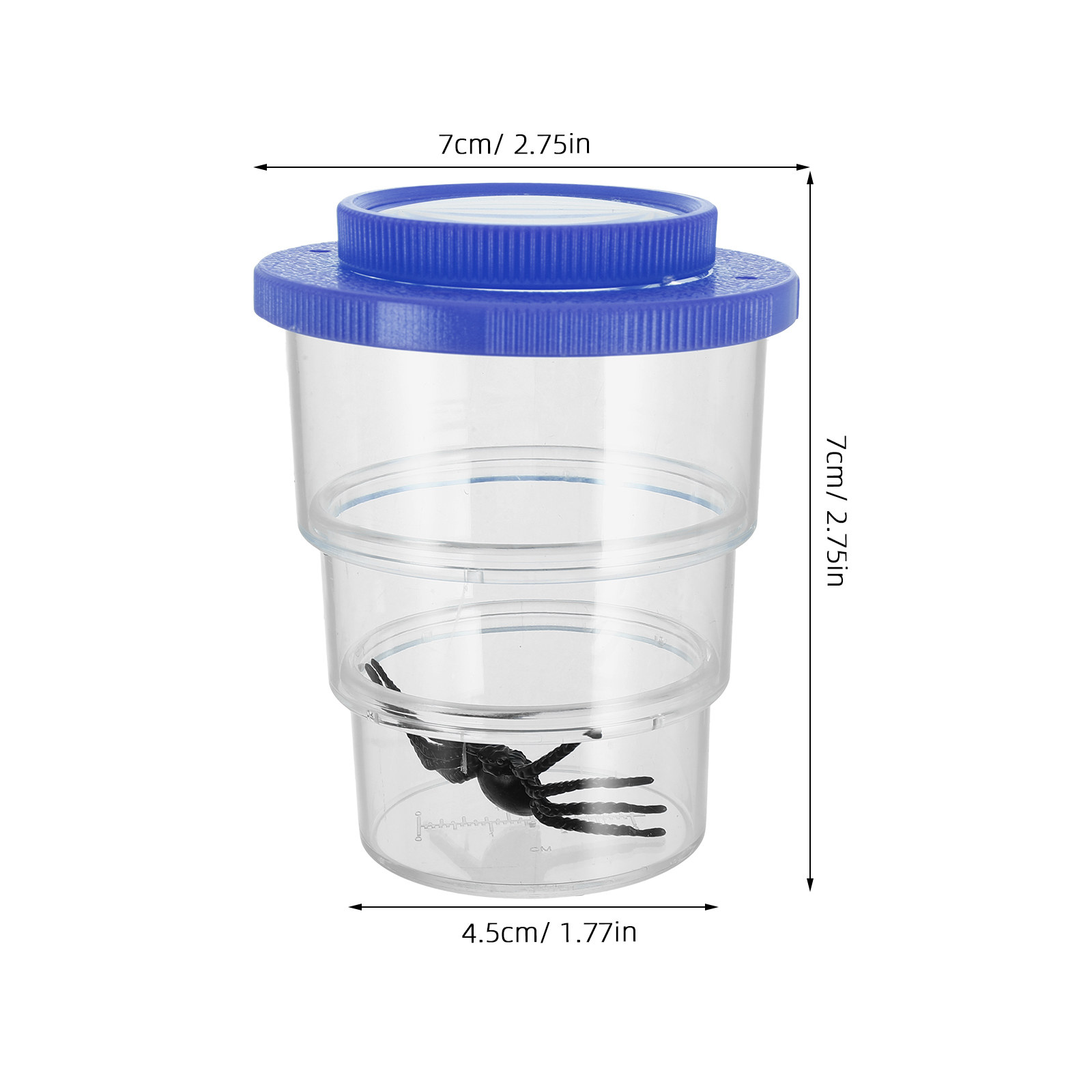 Scatola per l'Osservazione deg - Science Kit recensione e prezzo