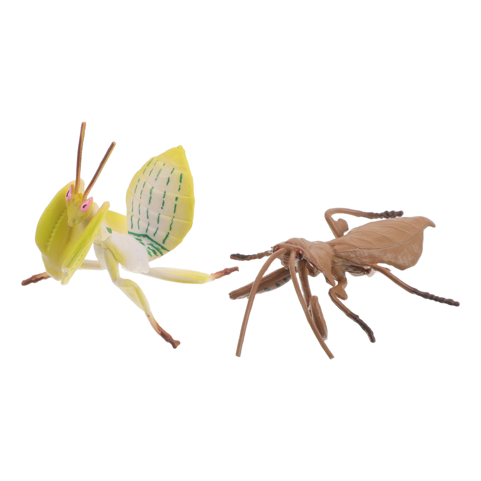 2 pezzi di insetti realistici  - Science Toy recensione e prezzo