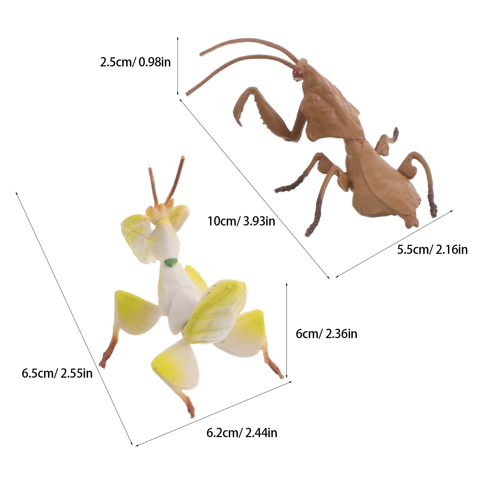 2 pezzi di insetti realistici  - Science Toy recensione e prezzo